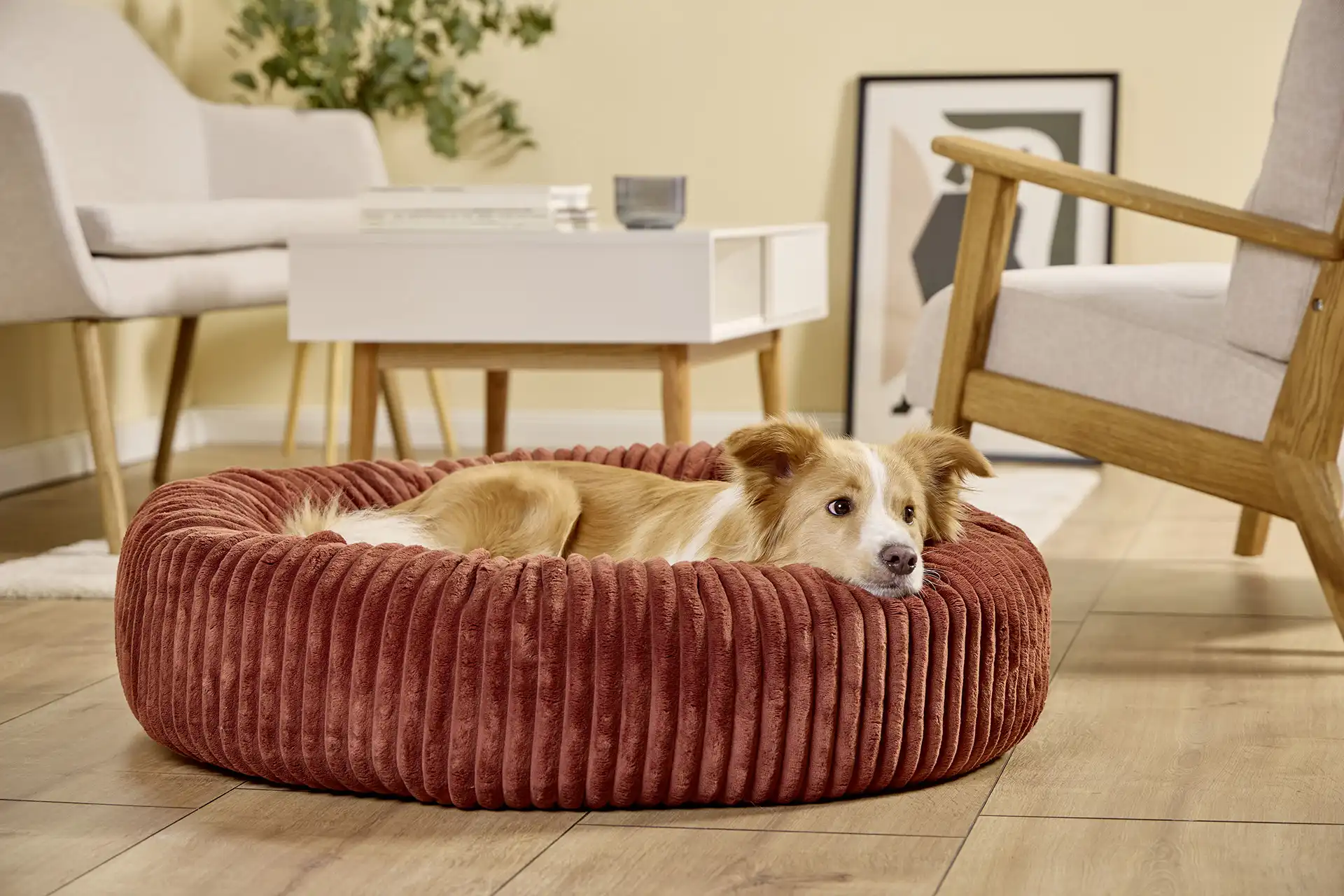 Soft Supreme & GRATIS Kuscheltier 2er Set